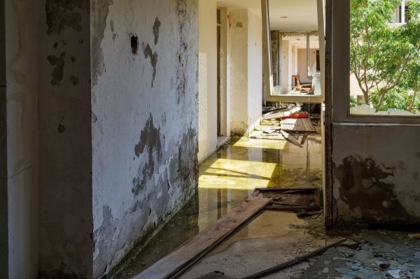 Cost of Water Removal Service in Castle Rock