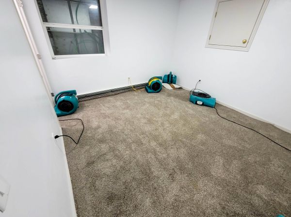 Flood Restoration Service in Castle Rock
