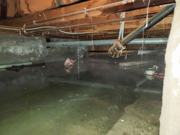 Water Mitigation Service in Castle Rock
